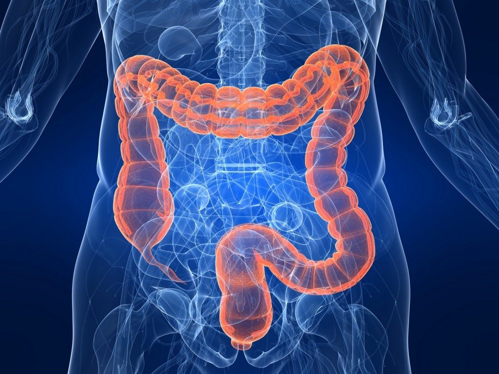 Colon Cleanse