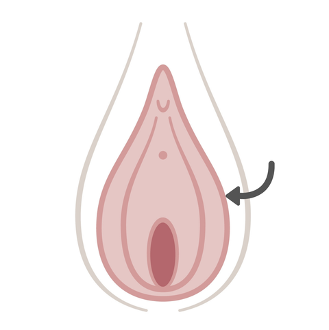 Vagina Cleanse